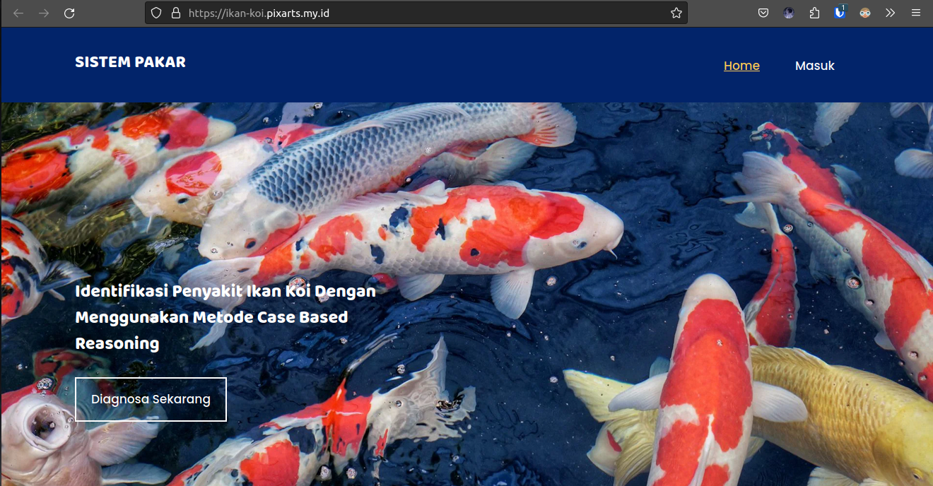 Portofolio